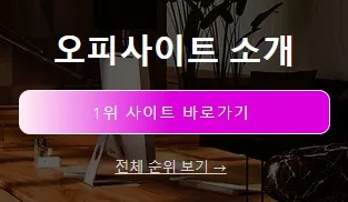 오피가이드 1