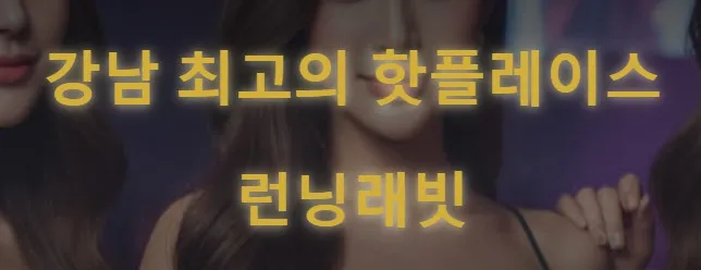 달리는토끼 1